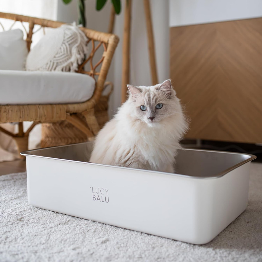 LucyBalu STEELOO, en kattlåda i rostfritt stål